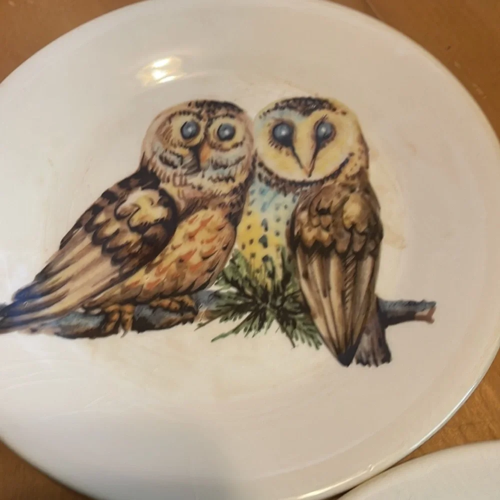 Vintage style owl salad plates and mugs